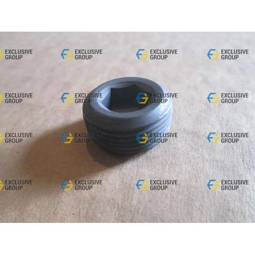 Пробка водяной рубашки M24х12 (LANOS, GM, 11059251) Пробка водяной рубашки M24х12 (LANOS, GM, 11059251)
